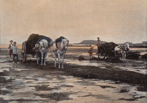 A Goemon aratás alkotó: European Photographer